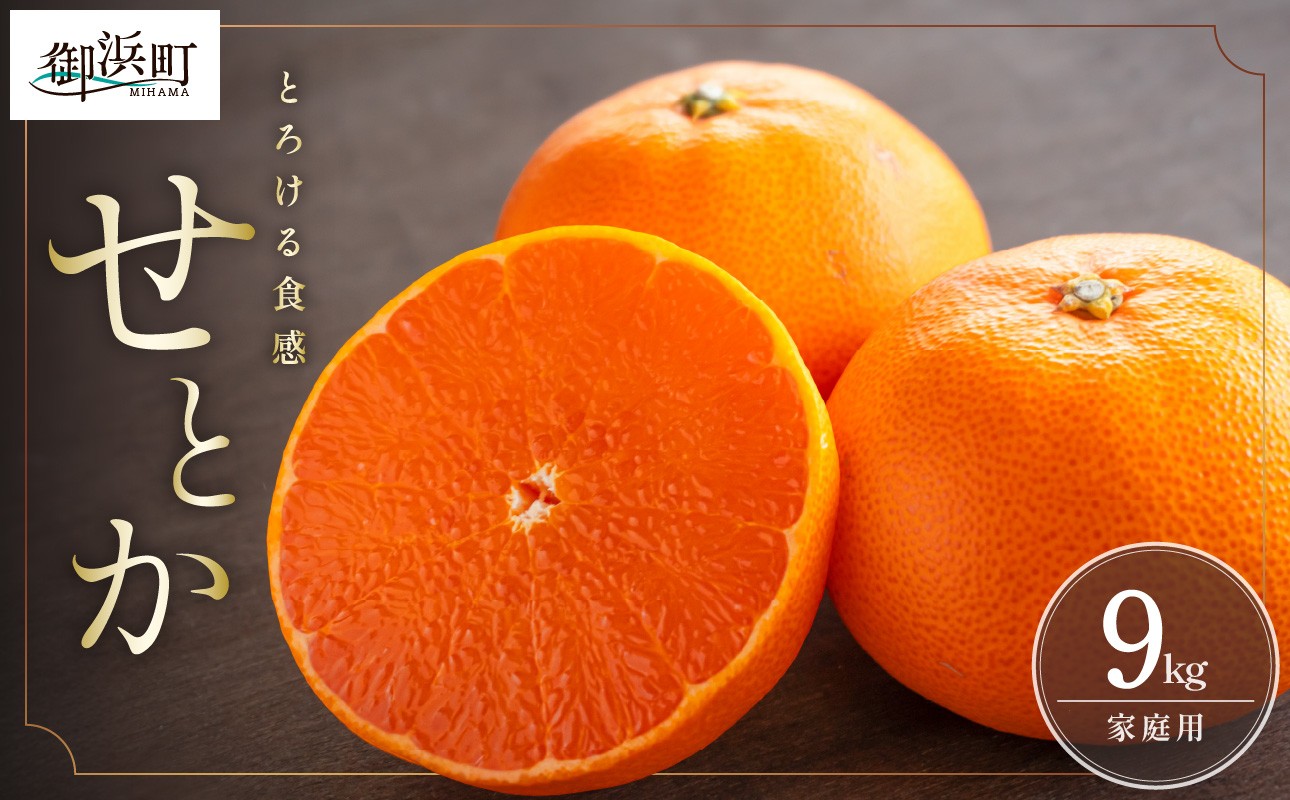 【2026年発送 先行予約品】