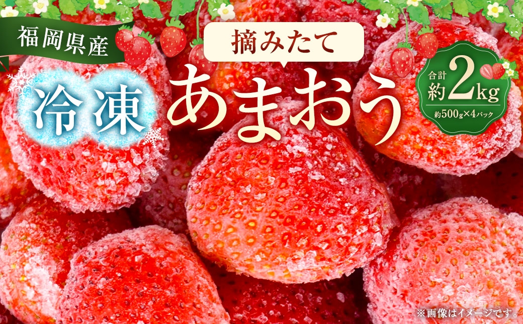 福岡県産 摘みたて【冷凍あまおう】約2kg（約500g×4パック）