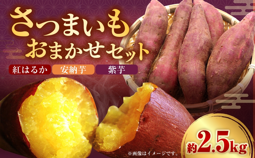 さつまいもおまかせセット 約2.5kg（紅はるか、安納芋、紫芋）