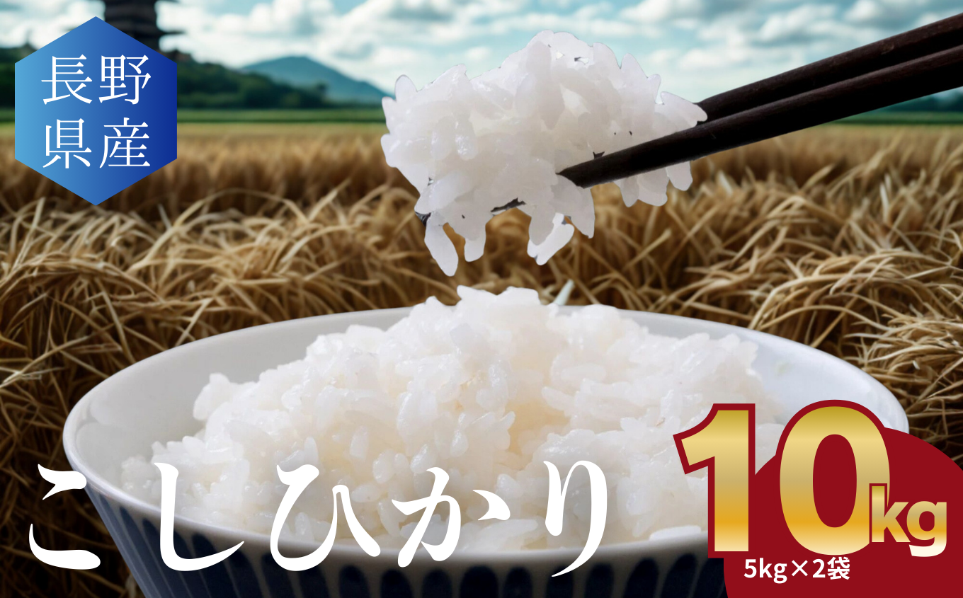 信州米 こしひかり 白米