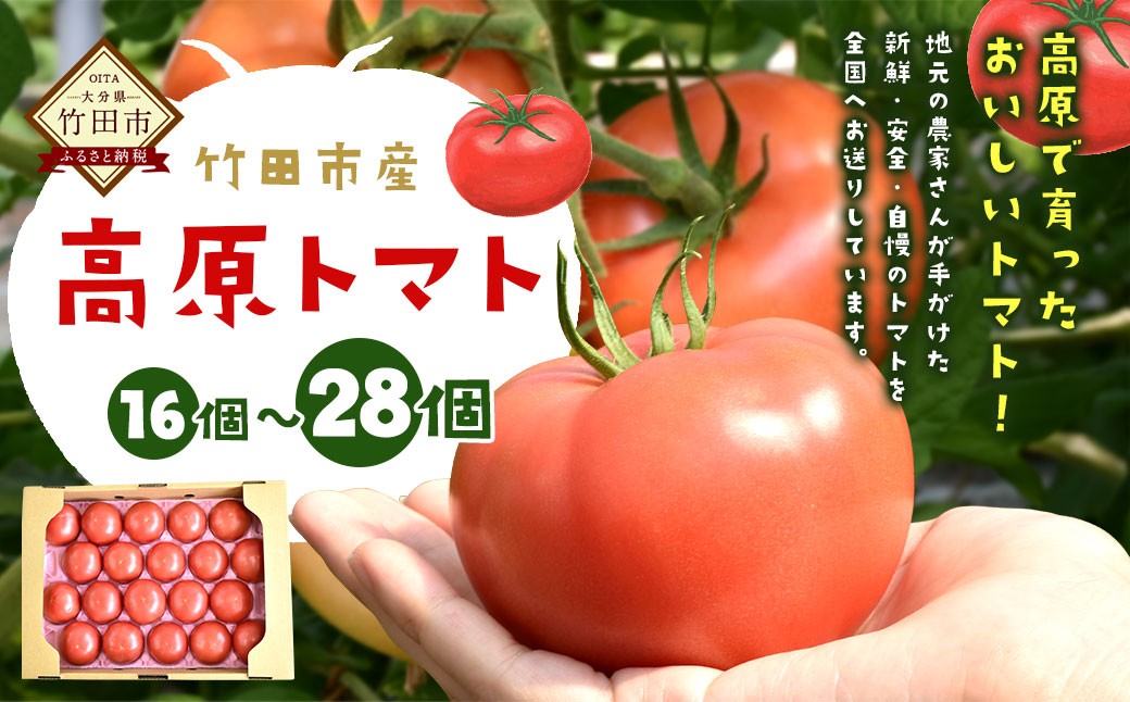 【竹田市産】高原トマト 16～28個