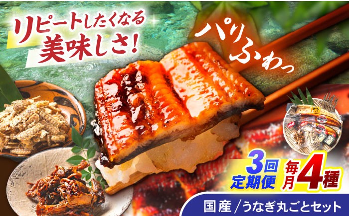 うなぎ 蒲焼 白焼き たれ 肝 詰合せ 詰め合わせ セット