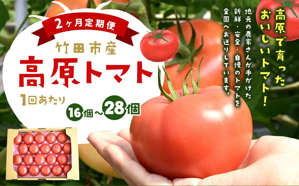 【2ヶ月定期便】 竹田市産 高原トマト 16個～28個