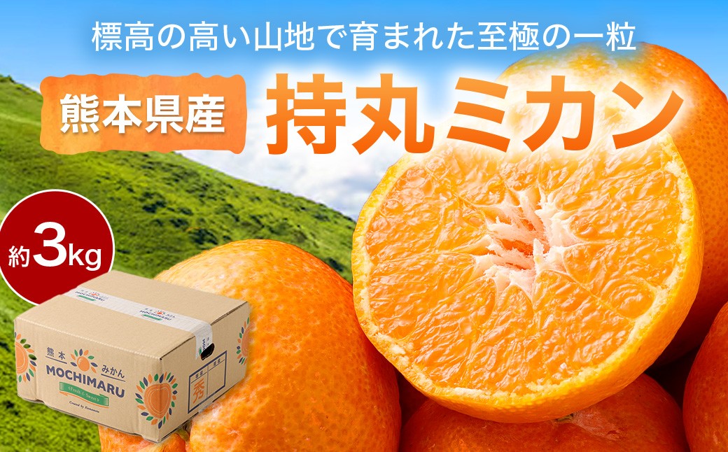 熊本県産 持丸ミカン 約3キロ