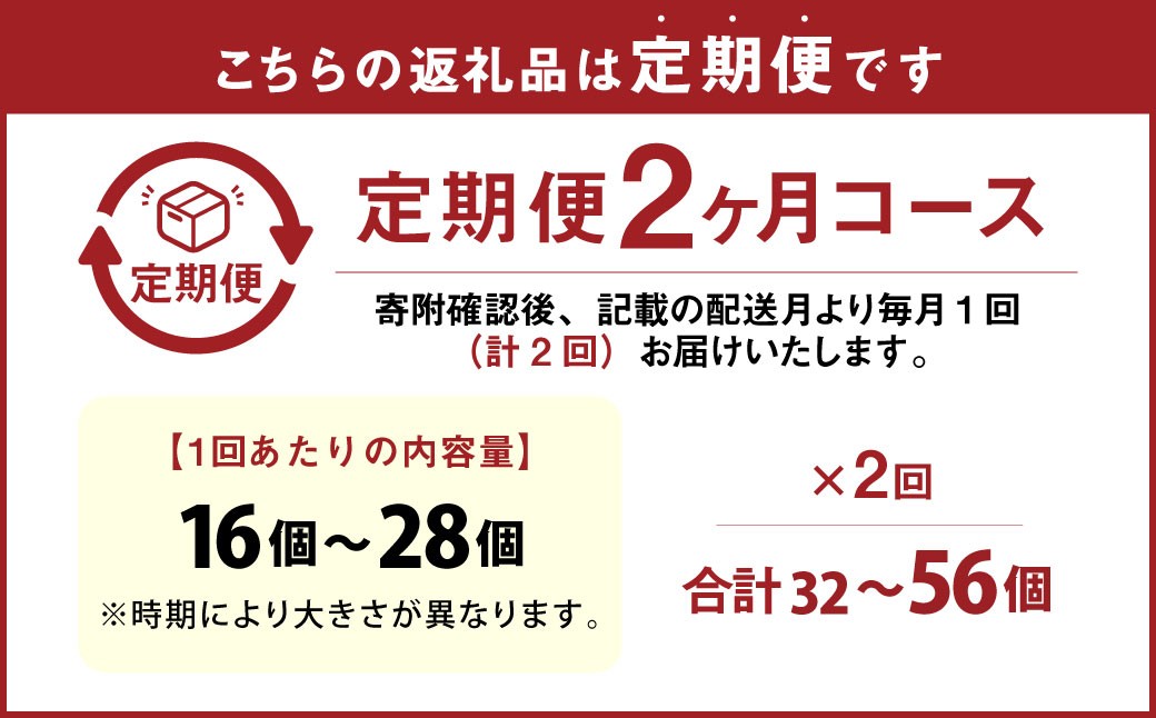 【2ヶ月定期便】 竹田市産 高原トマト 16個～28個