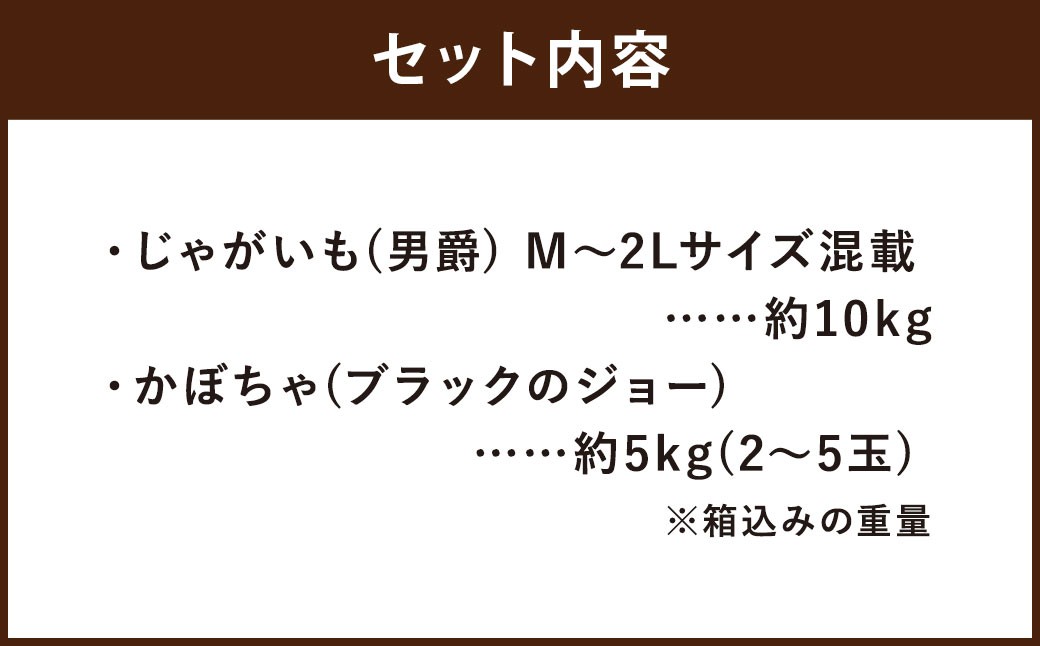 北海道産 じゃがいも 男爵 M～2Lサイズ混載 約10kg かぼちゃ ブラックのジョー 約5kg（2～5玉） セット 山田農場