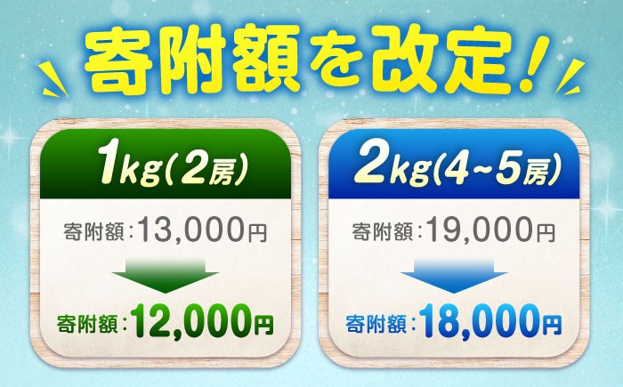 果物 フルーツ デザート 旬 期間限定 シャインマスカット マスカット 大粒