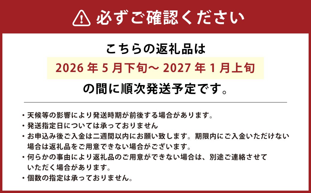 【竹田市産】高原トマト 16～28個