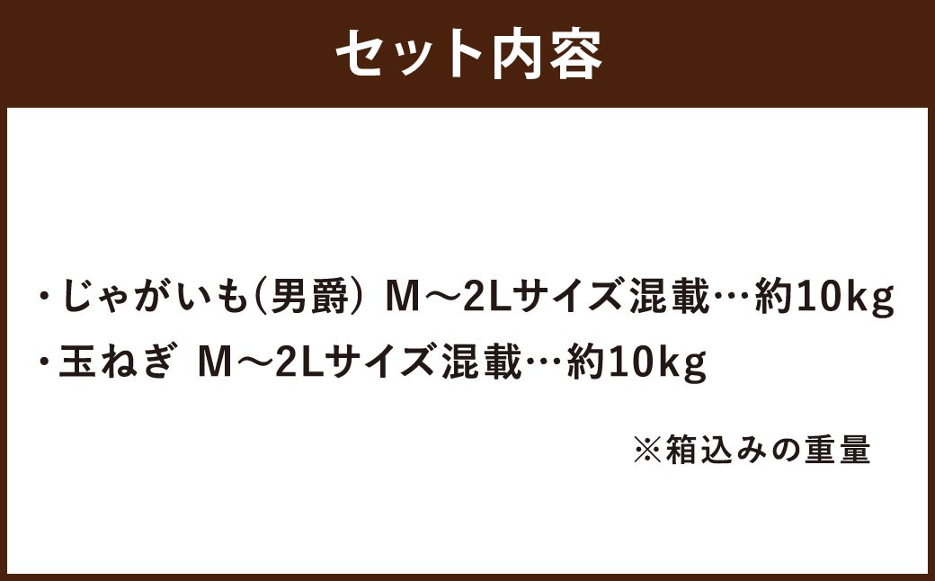 北海道産 じゃがいも 男爵 玉ねぎ セット M～2Lサイズ混載 各約10kg 合計約20kg 2箱 山田農場