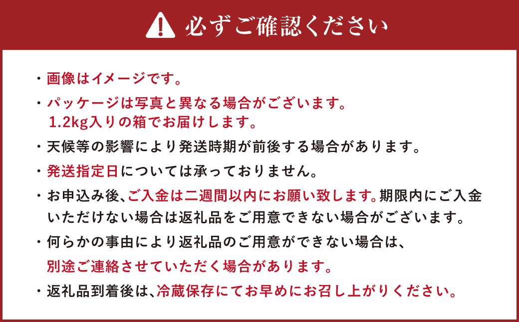 有機JAS認定「きたいろトマト」1.2kg×3箱 （3.6kg）