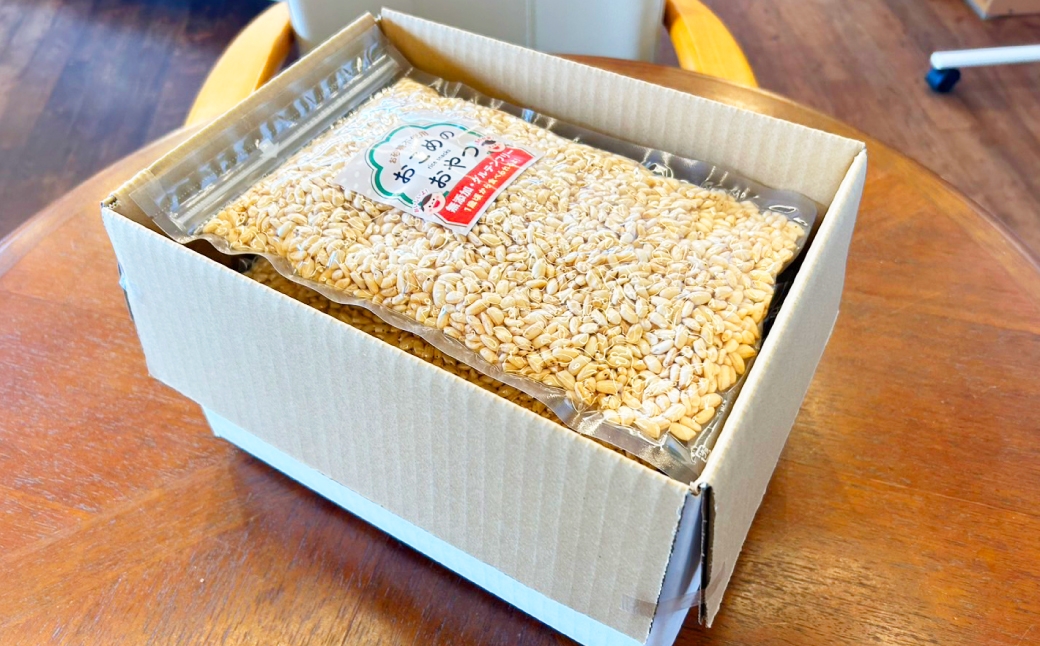 おこめのおやつ 大袋 4袋セット