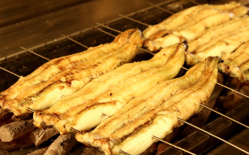 木曽三川ウナギの白焼5尾