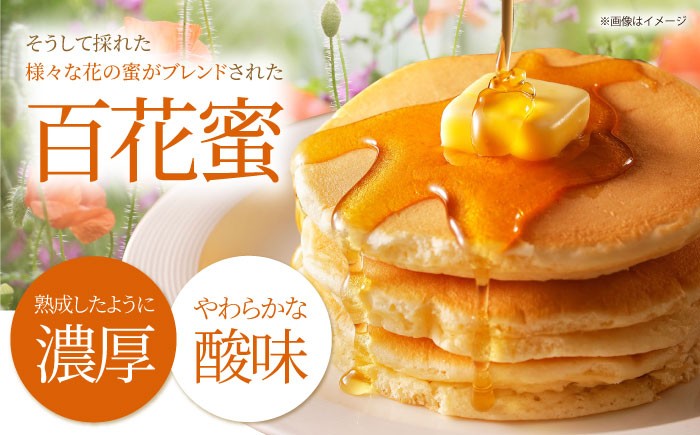 日本ミツバチの天然生はちみつ ( 百花蜜 ) 300g ハチミツ はちみつ 蜂蜜 日本ミツバチ 国産 国産はちみつ 佐賀