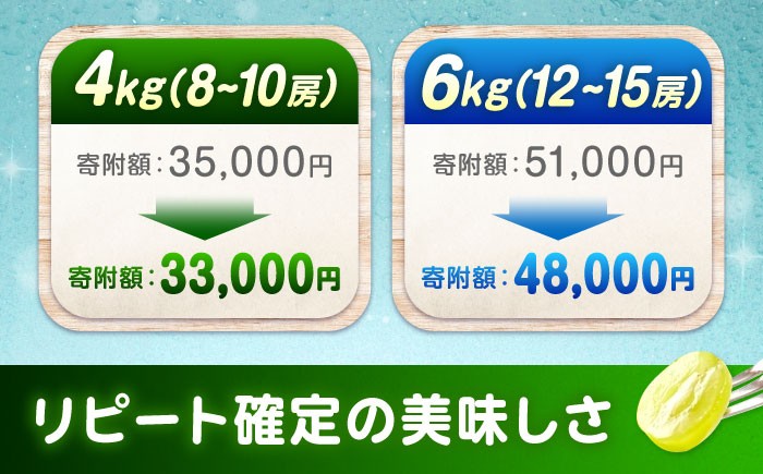 沼隈ぶどう シャインマスカット 2025年先行予約 数量限定 期間限定 ブドウ 葡萄 種なし シャインマスカット 果物 フルーツ