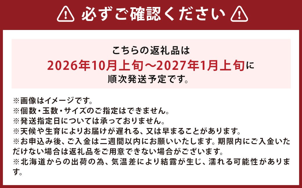 北海道産 じゃがいも キタアカリ 玉ねぎ セット M～2Lサイズ混載 各約5kg 合計約10kg 2箱 山田農場