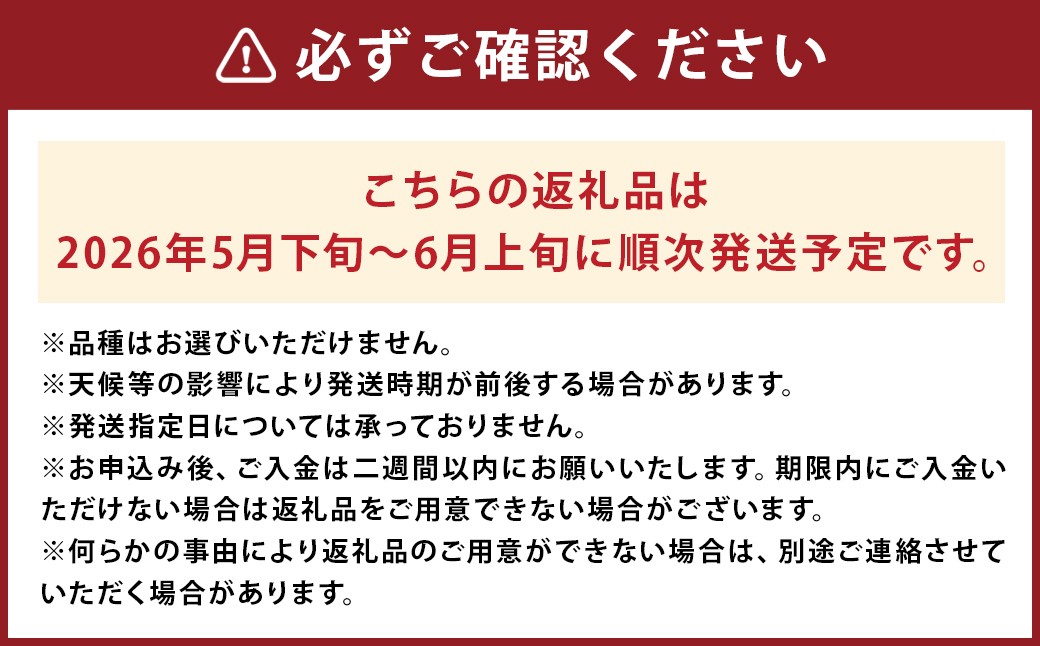 小玉 すいか 2玉 入り 1玉1.5kg 以上 西瓜