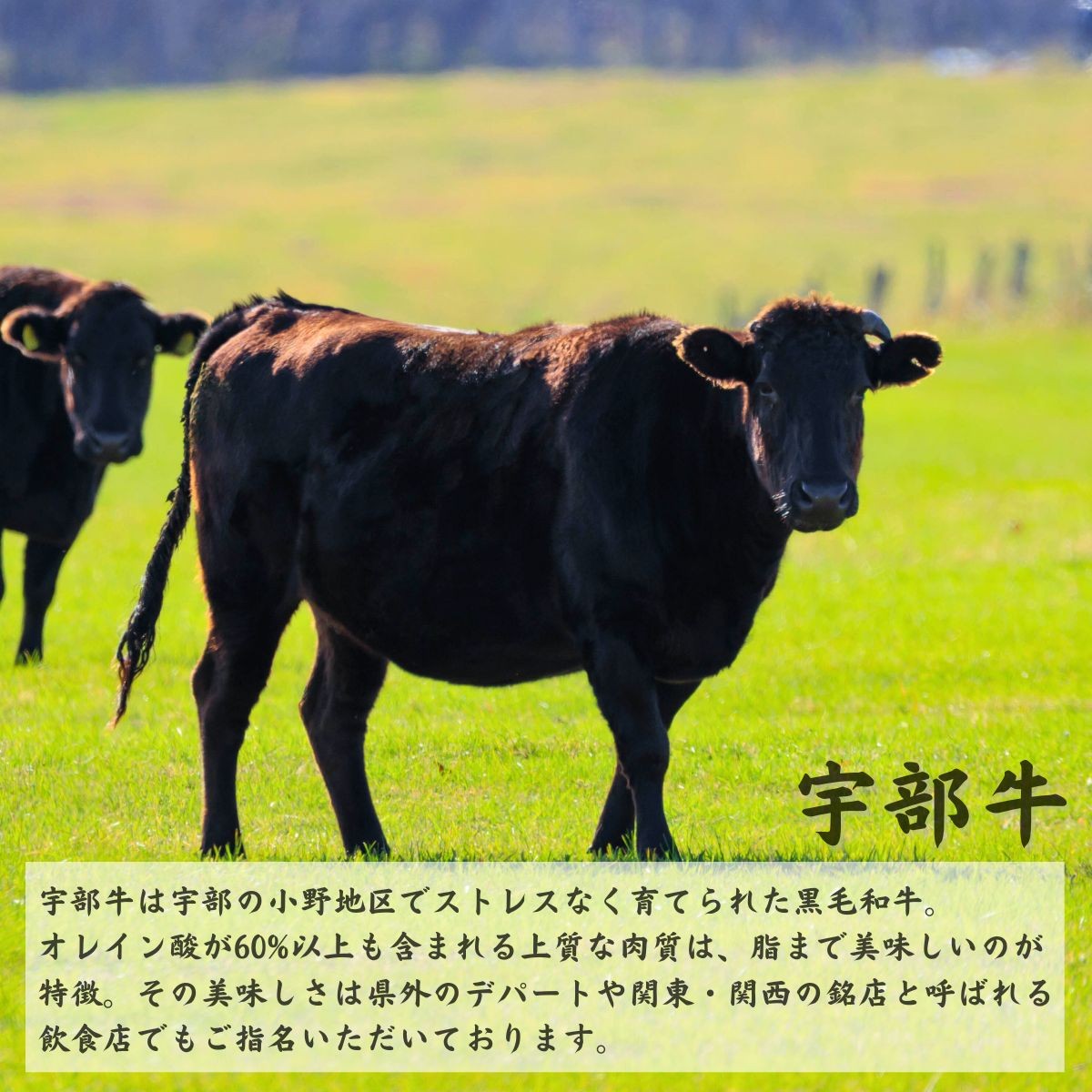 瓦そば 【黒毛和牛】宇部牛 瓦そば 7個セット 瓦そば 瓦ソバ 瓦蕎麦 かわらそば かわらソバ かわら蕎麦 カワラソバ 蕎麦