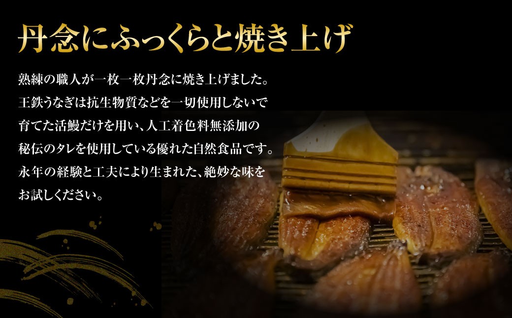 王鉄興業 木曽三川うなぎ大5人前＋きざみ蒲焼