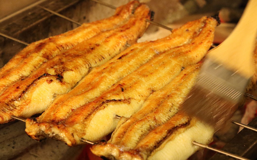 木曽三川ウナギの白焼5尾