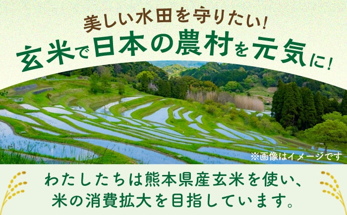 玄米 パスタ ぱすた 熊本県産 玄米パスタ 半生 簡単パスタ 特産品 熊本 グルテンフリー 惣菜 米 米粉 栄養豊富 朝食 