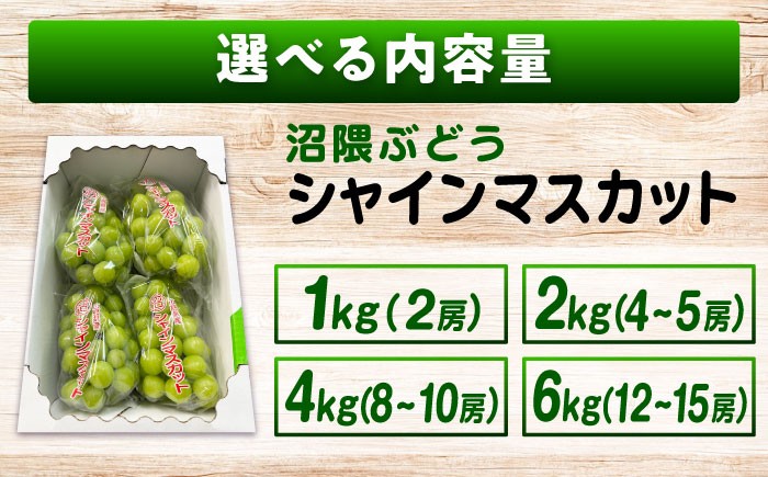 わたしたちの情熱が、実りとなって輝く一粒に。