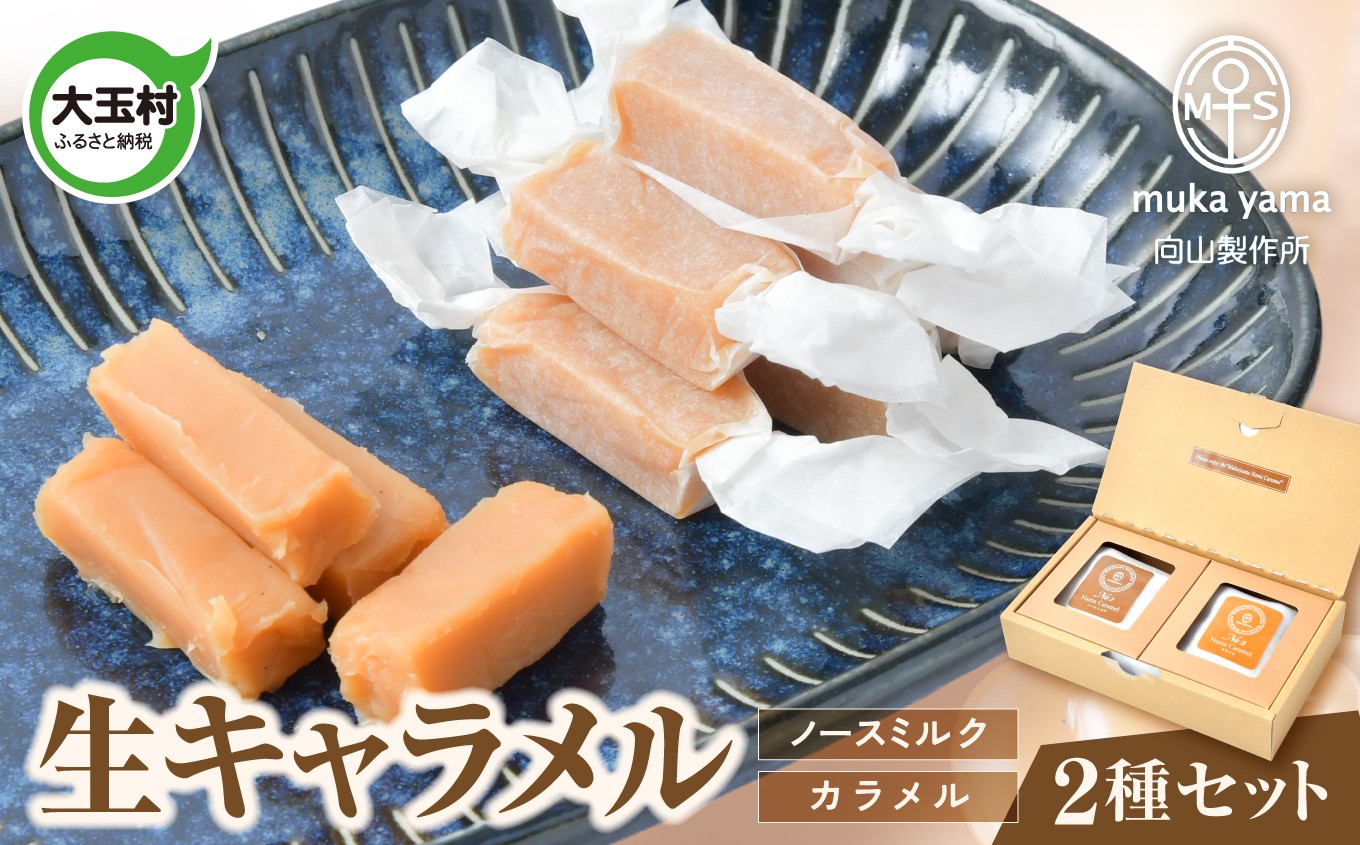 おすすめ 生キャラメル セット 2種 ( ノースミルク ＆ カラメル ) 向山製作所