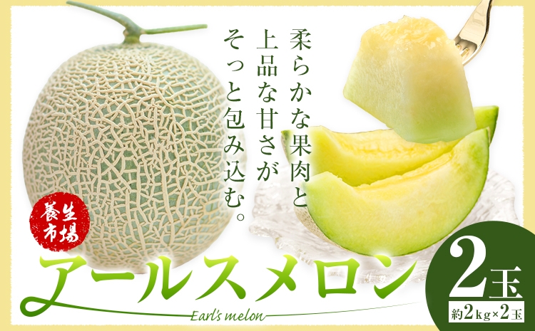 【6月下旬～発送】アールスメロン 2玉（約2kg×2玉）マスクメロン 果物 養生市場