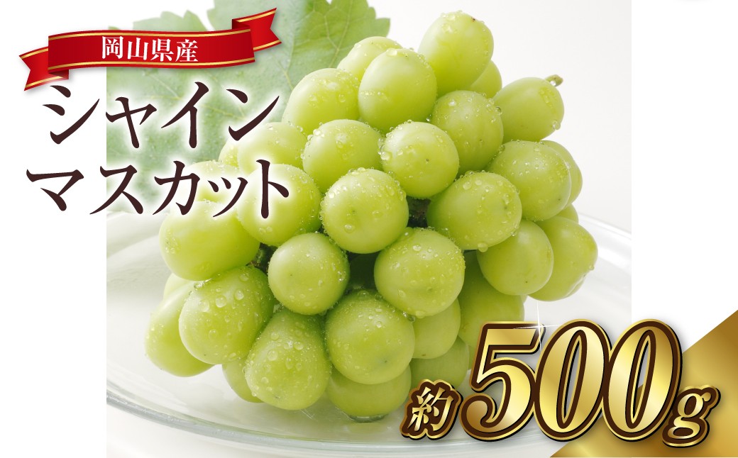 シャインマスカット 1房（約500g）