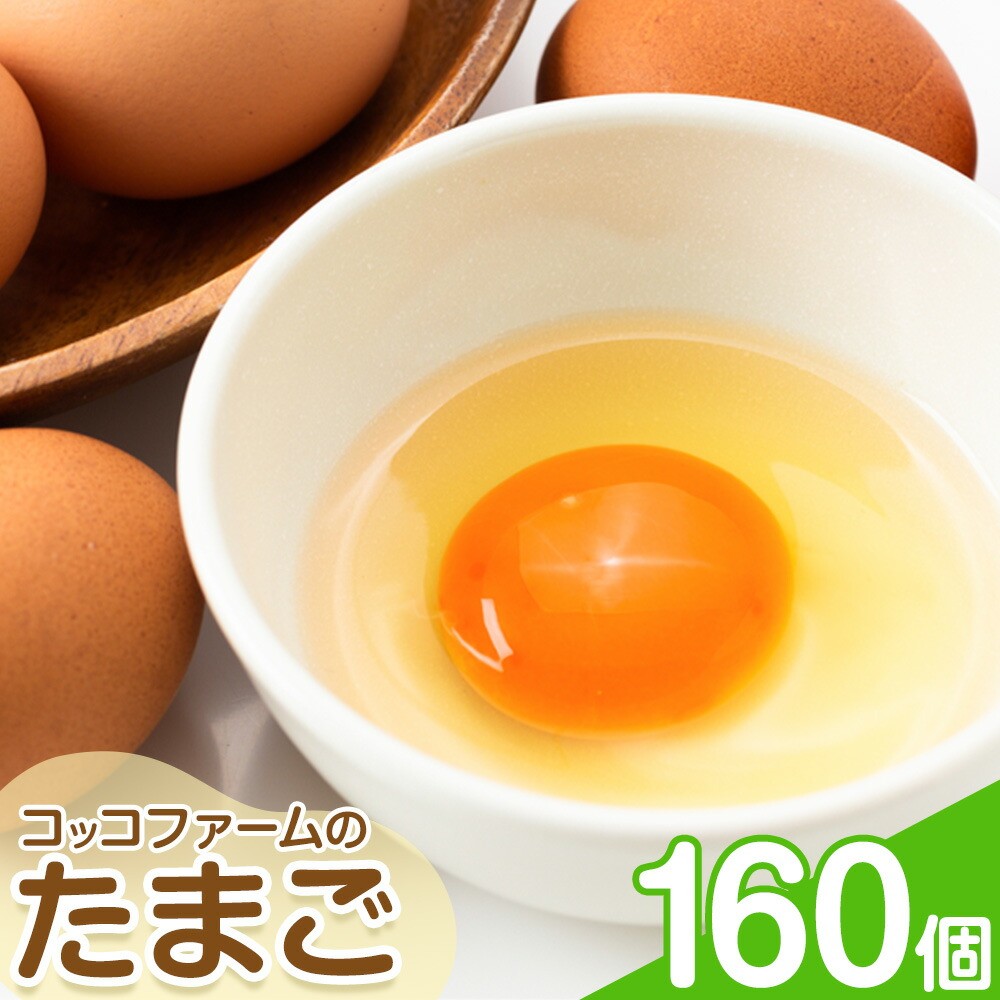 コッコファームのたまご 160個入