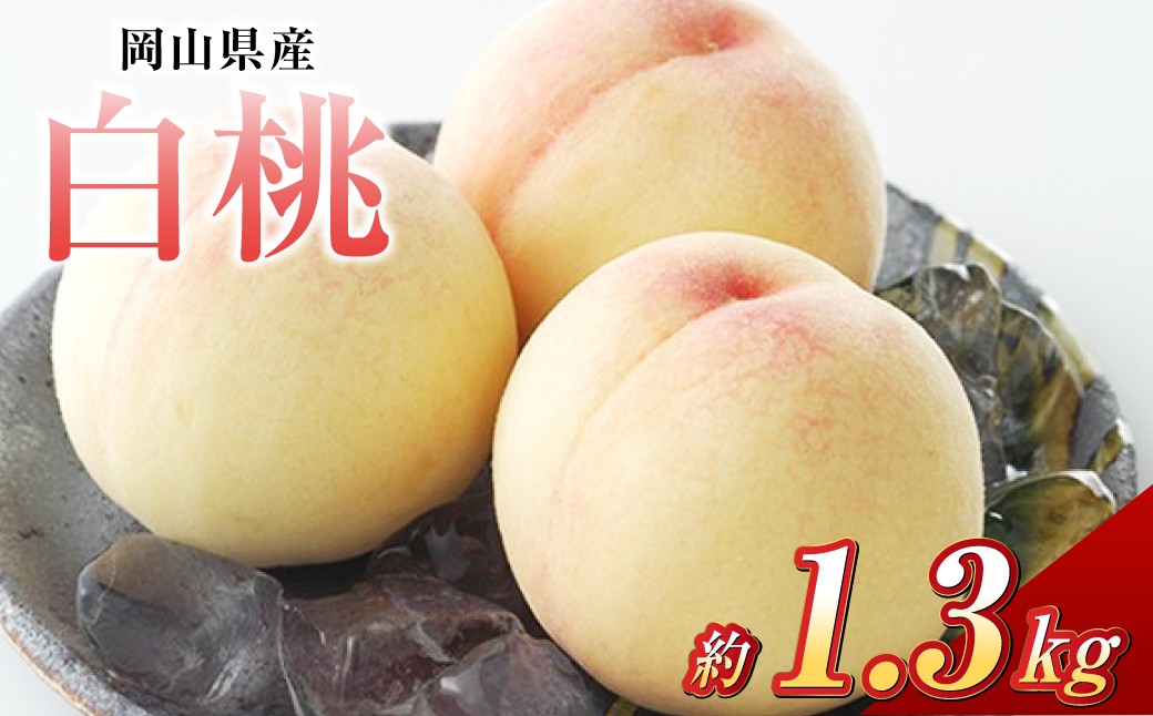 白桃 5玉（合計約1.3kg）