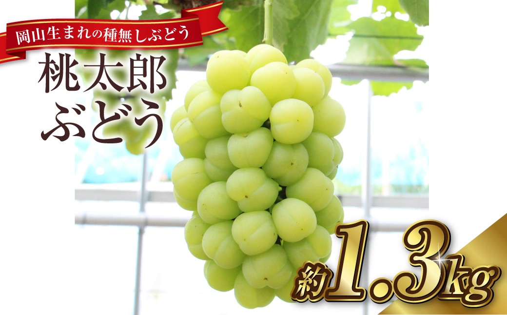 桃太郎ぶどう 2～3房（合計約1.3kg）