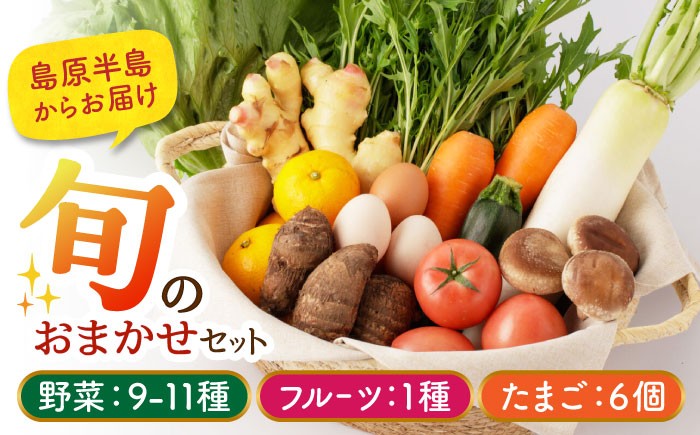 野菜各種：9～11種類 / フルーツ：1種類 / 鶏卵：6個をお届けします♪