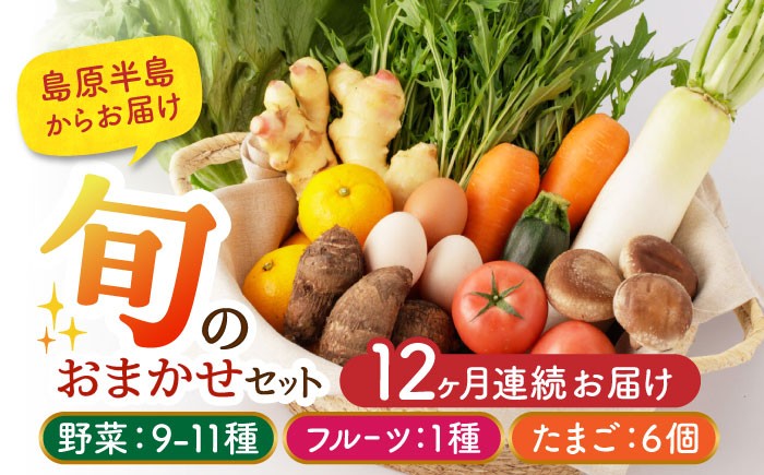 野菜 12回 定期便 フルーツ 果物 卵 野菜セット 詰合せ 12か月 1年