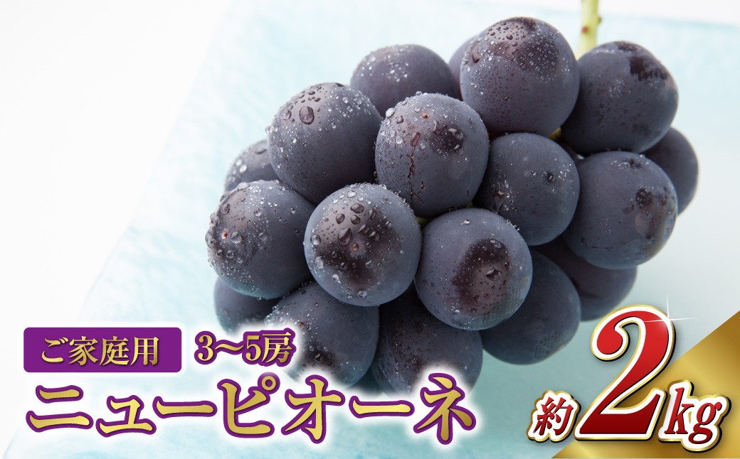 《ご家庭用》ニュー ピオーネ 3～5房（約2.0kg）