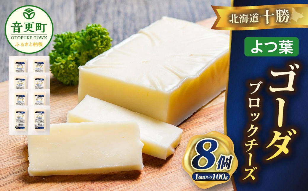 「よつ葉」北海道十勝 ゴーダ（ブロックチーズ） 100g×8個【A124】