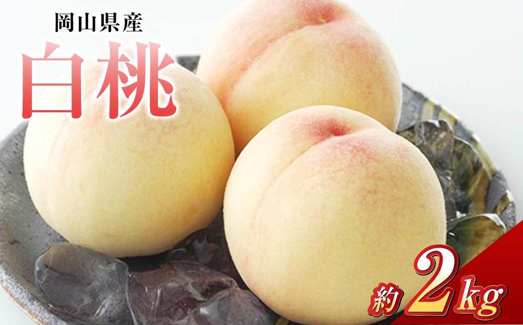 白桃 8玉（合計約2.0kg）
