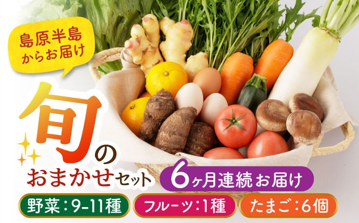 野菜 卵  果物 新鮮 セット 詰め合わせ 定期便 産地 直送
