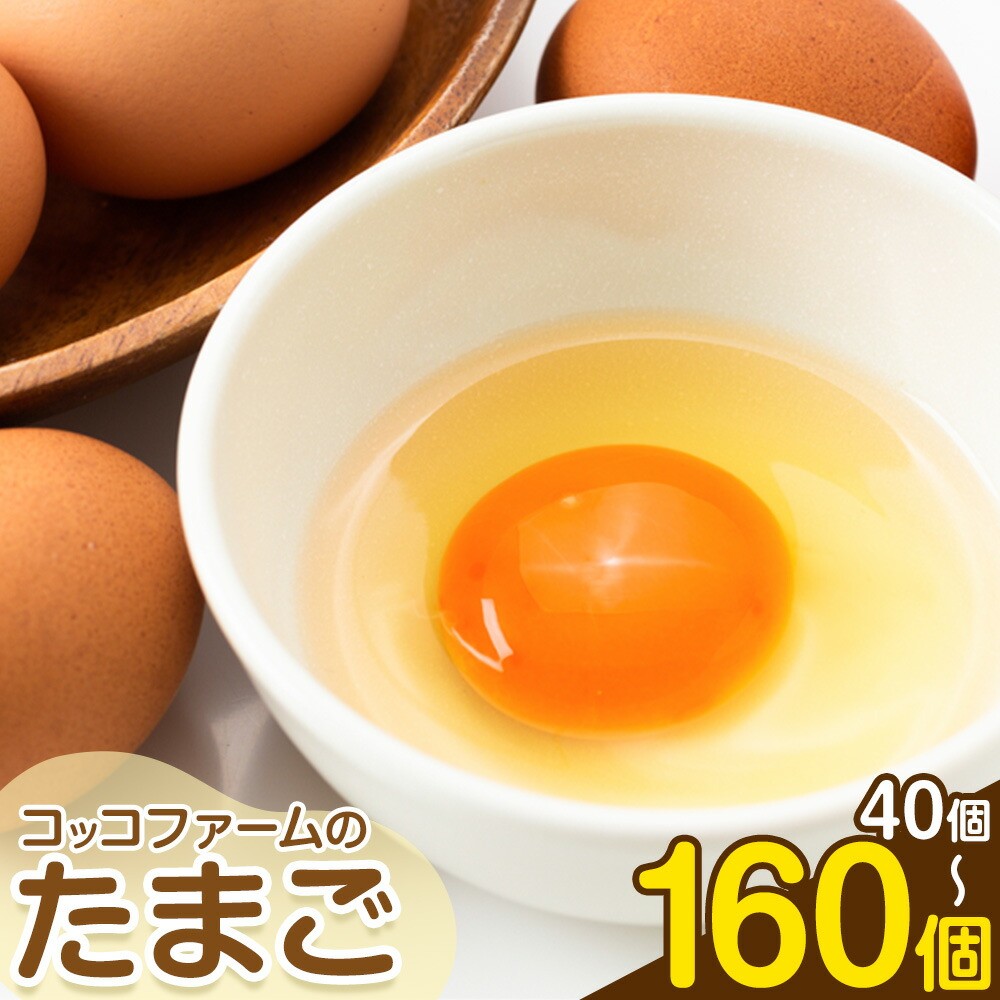 コッコファームのたまご 40個入