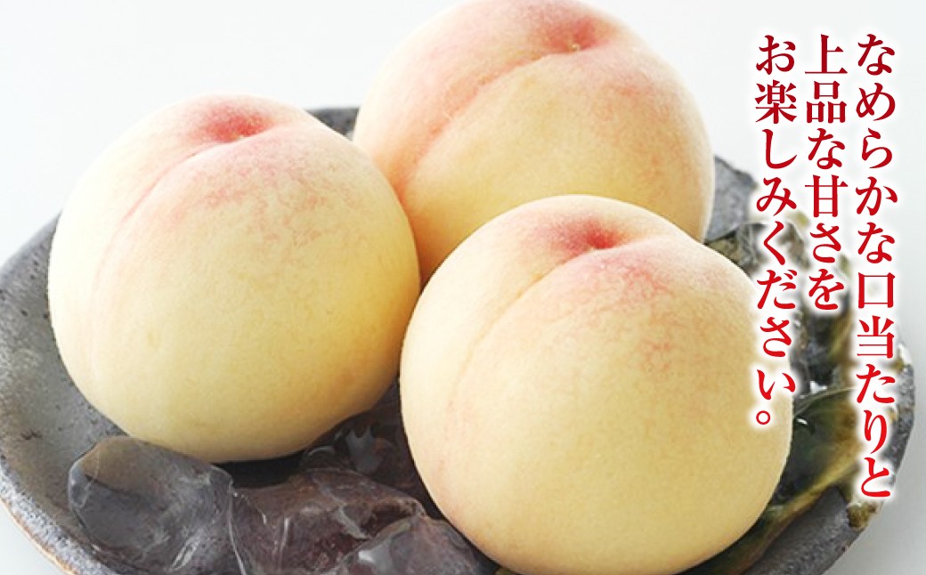 白桃 5玉（合計約1.3kg）