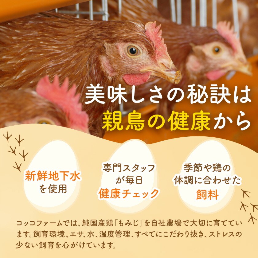 コッコファームのたまご 40個入