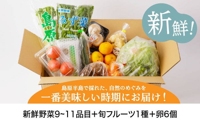 野菜 卵  果物 新鮮 セット 詰め合わせ 定期便 産地 直送