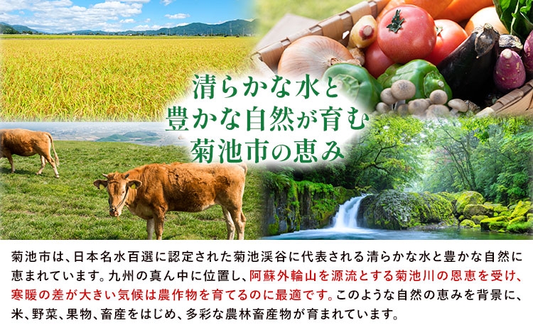 【定期便4回】旬のフルーツ便F 小玉スイカ ぶどう メロン いちご【養生市場】