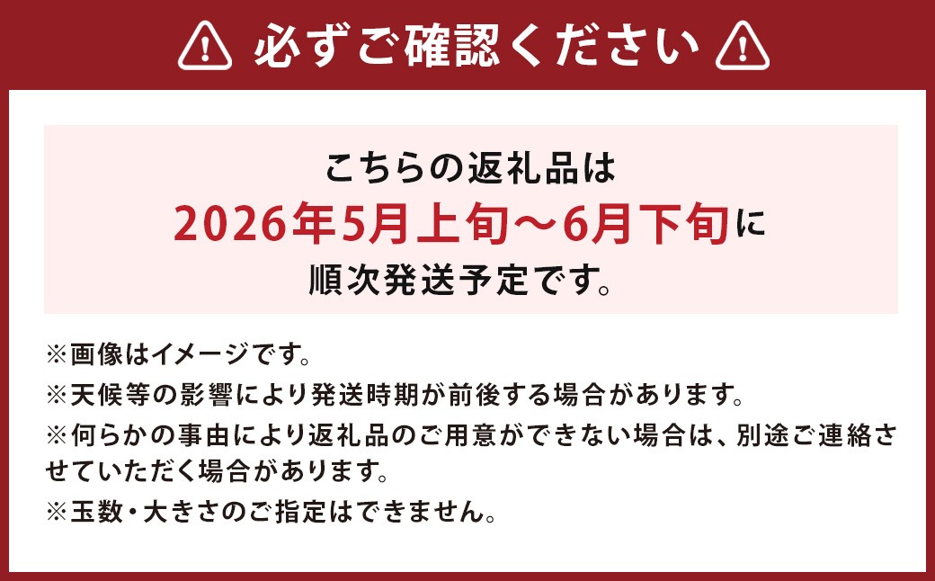大玉 すいか 1玉 L以上 約5kg【2026年5月上旬～6月下旬発送予定】