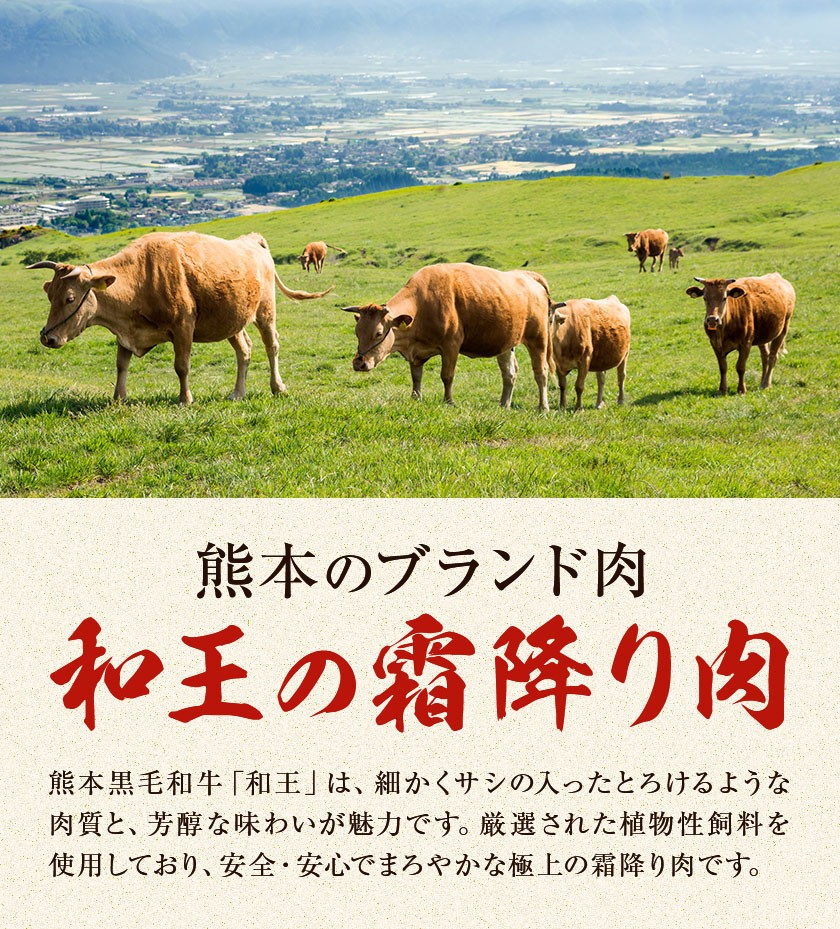 贅沢 和牛ステーキ 2種 セット