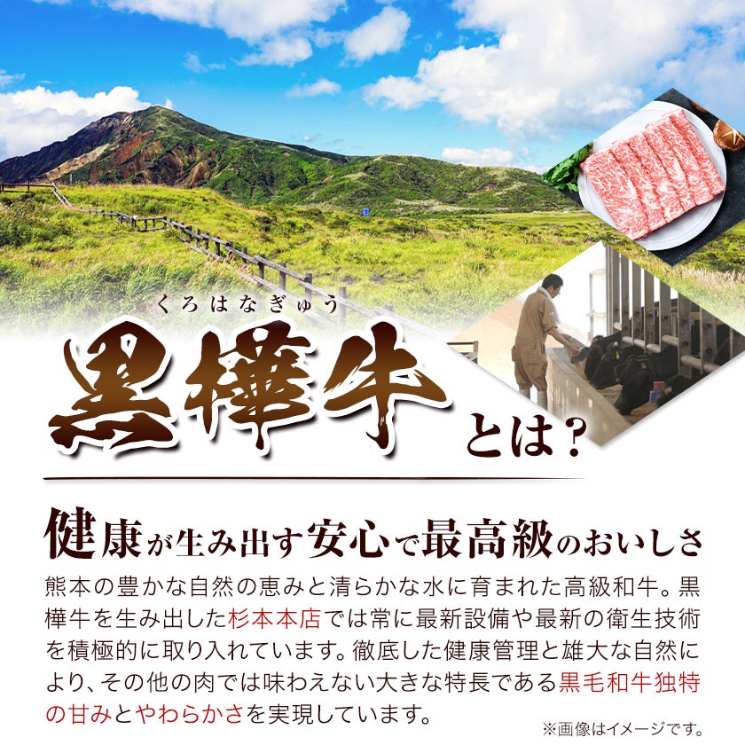 【3回定期便】くまもと黒毛和牛 杉本本店 黒樺牛 A4~A5等級 サーロインステーキ定期便 400g×3回