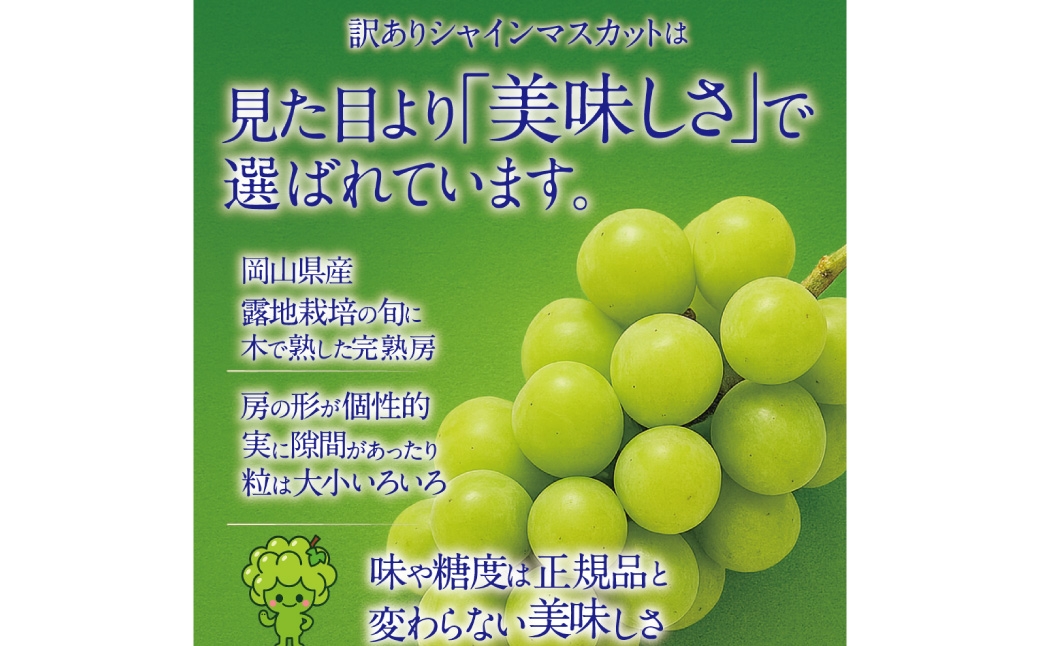 【 先行予約 】 訳あり 木熟ぶどう ハレノシャイン シャインマスカット 2房 約1.2kg