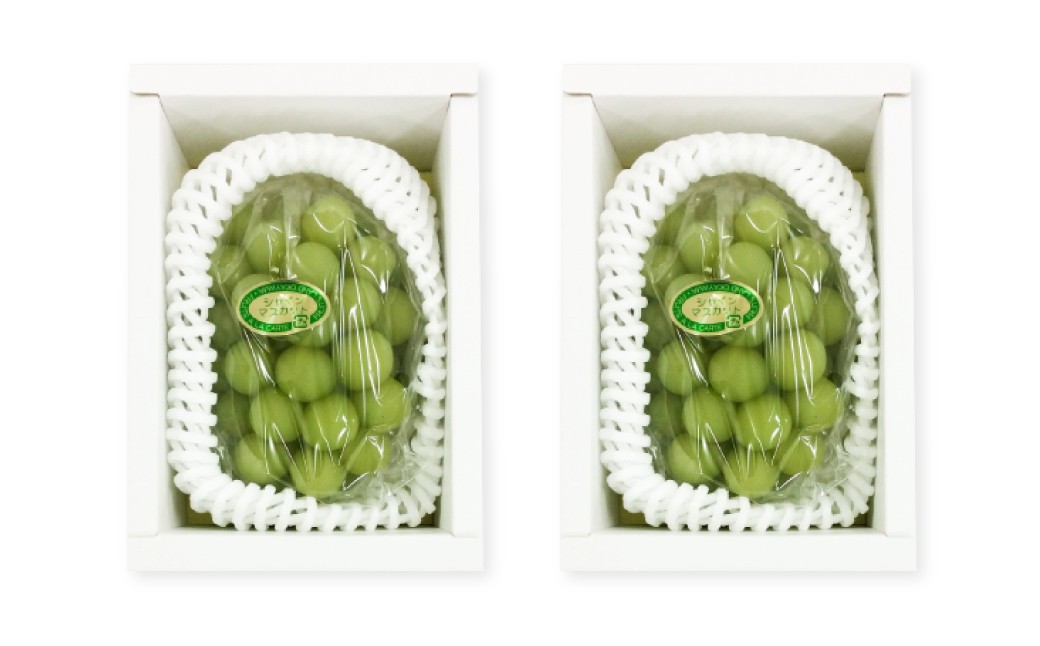 シャインマスカット 2～3房（合計約1.3kg）