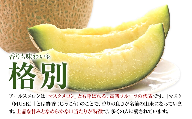 【2023年7月下旬より発送】 アールスメロン 2玉 2L以上 くまモン 箱入り