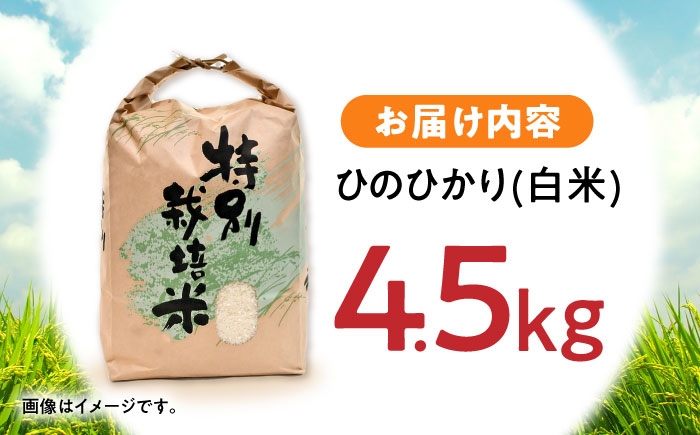 米 こめ コメ お米 おこめ 白米 精米 白ご飯 ごはん ひのひかり ヒノヒカリ 長崎県産 長崎県産米 国産