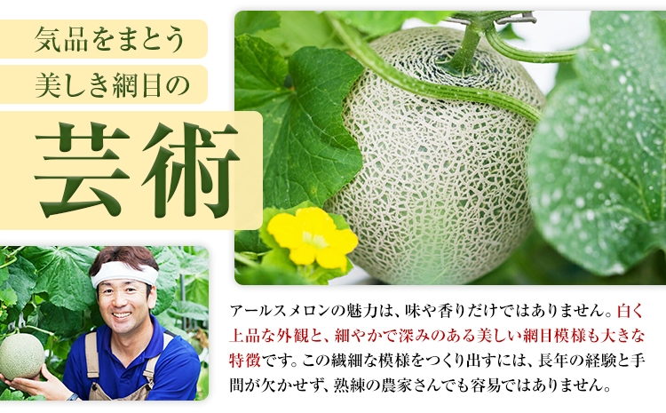 【2023年7月下旬より発送】 アールスメロン 2玉 2L以上 くまモン 箱入り